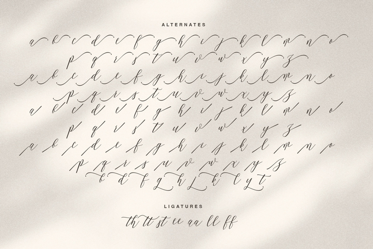 Amstromato Script Signature, a Handwritten Font by Portocraft (Photo 10 of 10)