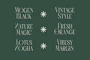 Scarfi Modern All Caps Serif, a Serif Font by timelesstype.co (Thumbnail 14 of 20)