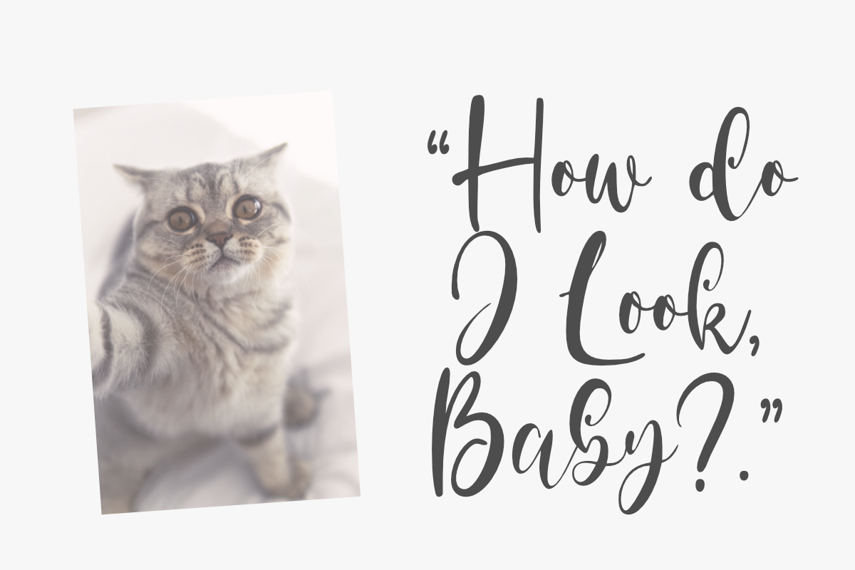 Cute Selfie, a Script Font by Epiclinez (Photo 2 of 5)