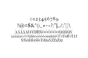 Janecia Serif 3 Font Family Pack, a Serif Font by Creativetacos (Thumbnail 4 of 6)