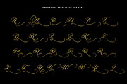 Rastering| Elegant Calligraphy Font, a Script Font by Romiecreative (Thumbnail 12 of 13)