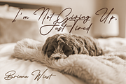 Viollents - Handwritten Font, a Handwritten Font by zamjumps (Thumbnail 4 of 11)
