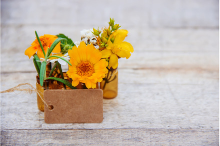 extracts of herbs in small bottles, a Health & Medical Photo by yanadjana