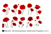 Watercolor Poppy Flowers, a Decorative Illustration by crafty (Thumbnail 5 of 11)