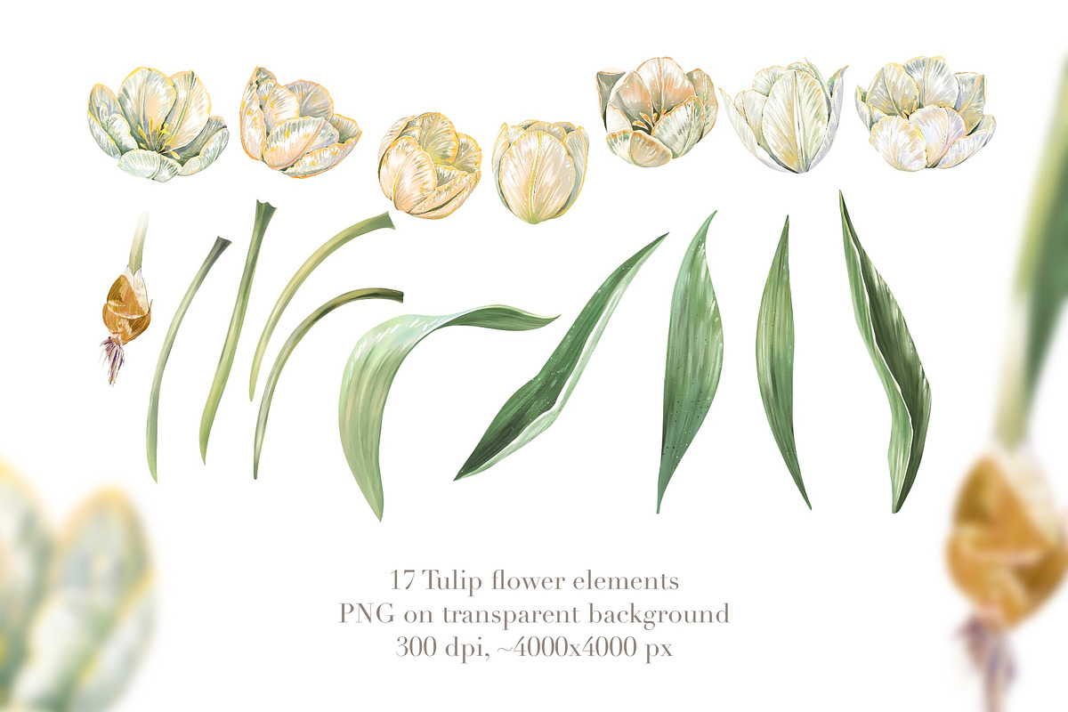 Tulips Spring Garden, watercolor set, an Illustration by Shabbypie (Photo 3 of 12)