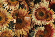 Sunflowers Melange Digital Papers #1, a Pattern Graphic by Happy Creators Co. (Thumbnail 6 of 7)