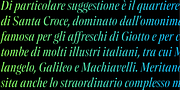 Contane Condensed, a Serif Font by Hoftype (Thumbnail 10 of 14)