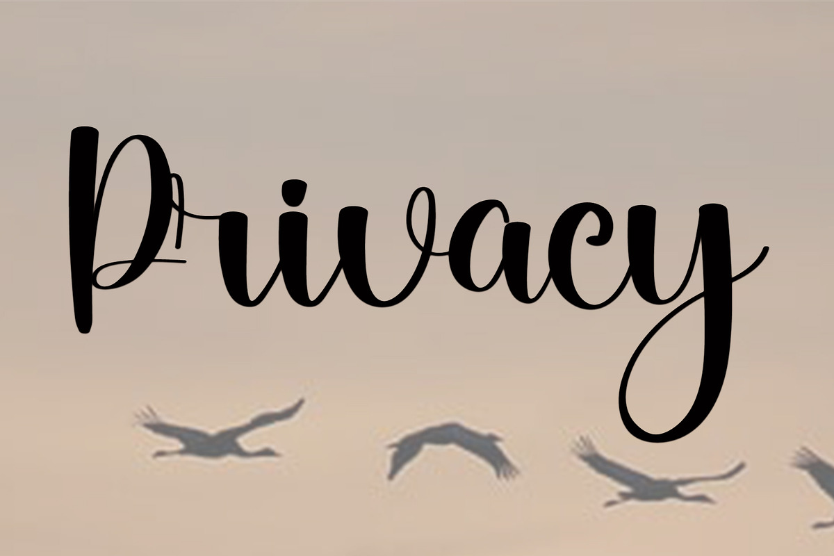 Monday, a Script Font by FreshTypeINK (Photo 3 of 6)
