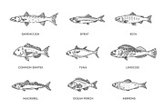Saltwater fish set, an Animal Illustration by Tettygreen (Thumbnail 2 of 3)
