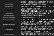 Medvilea Editorial | 15 Style Font, a Serif Font by IM Studio (Thumbnail 13 of 13)