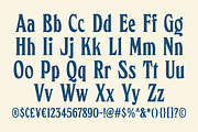 Vorlich - Classy Decorative Typeface, a Serif Font by Roams Type (Thumbnail 4 of 20)