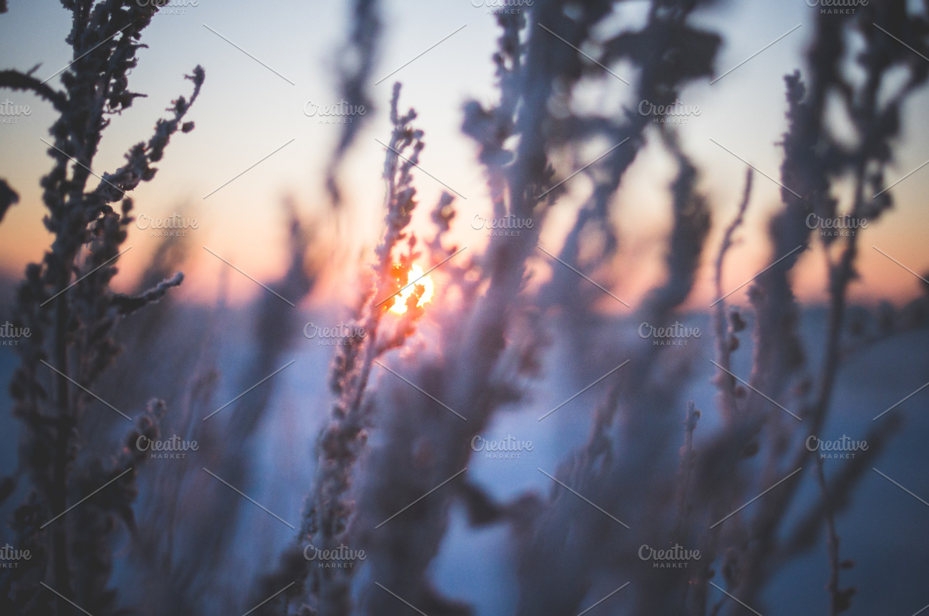 Winter sunrise - Frosty morning, an Abstract Photo by Zibloidix