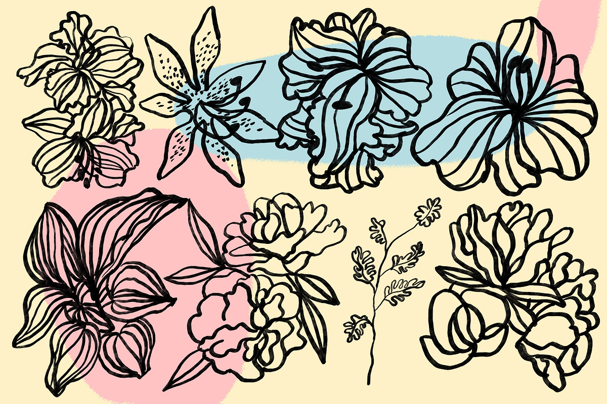 Flowers and Plants Minimalist Set, an Illustration by Anny (Photo 5 of 10)