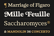 Fedro - 14 Fonts, a Serif Font by Nasir Udin (Thumbnail 18 of 20)
