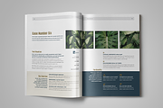 Case Study, a Templates & Theme by StockInDesign (Thumbnail 6 of 8)