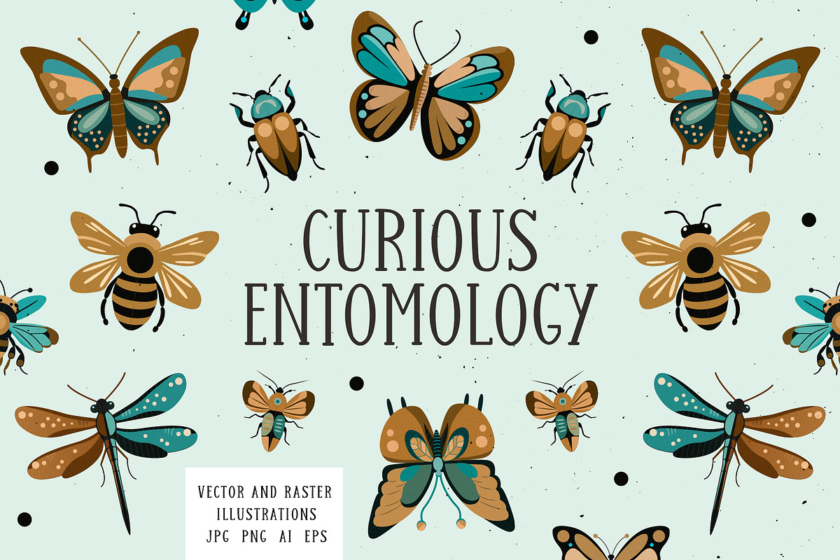 Curious Entomology Collection, an Animal Illustration by Cosy Fox (Photo 1 of 9)