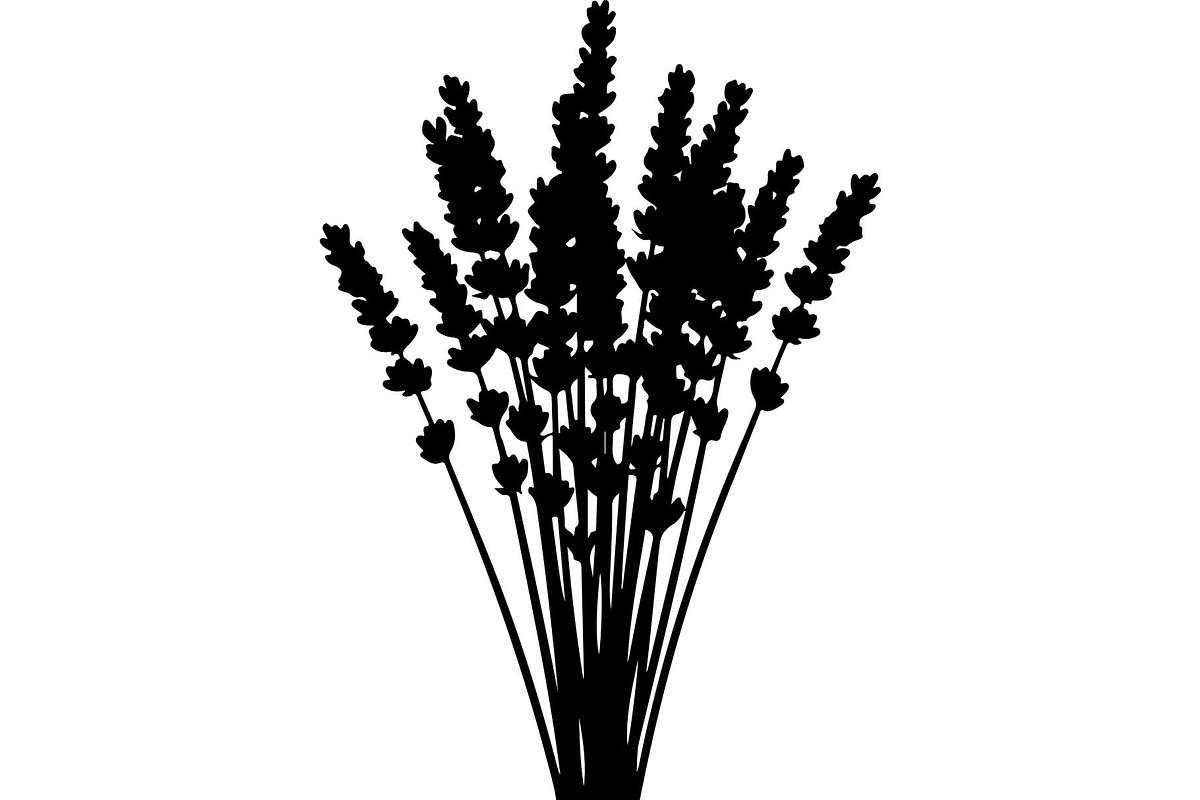 Lavender Flower Silhouette, an Object Graphic by Designer_Momina (Photo 16 of 20)