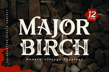 Major Birch - Vintage Logo Font, a Serif Font by Salamahtype