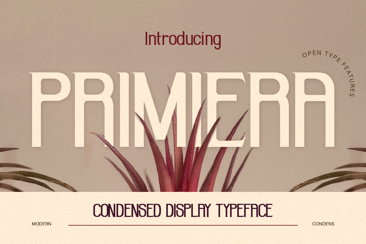 Primiera, a Sans Serif Font by Burntilldead (Photo 1 of 13)
