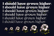 Selukar - Display Variable Font, a Serif Font by Artflorara (Thumbnail 4 of 16)