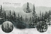 Winter Forest Box for Procreate, a Brush Add-On by Liquid Amethyst Art (Thumbnail 12 of 13)