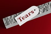 Lecaria Editorial Modern Serif Font, a Serif Font by Rasio Studio (Thumbnail 7 of 9)