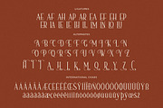 Nerhole Modern Serif Font, a Serif Font by Letterena Studios (Thumbnail 14 of 15)