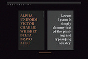 Michaela Calistta - Roman Serif, a Serif Font by Anxiety Studio (Thumbnail 9 of 21)