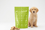 Dog Treat Pouch Mockup with Puppy, an Advertising Mockup by OneVectorStock (Thumbnail 2 of 2)