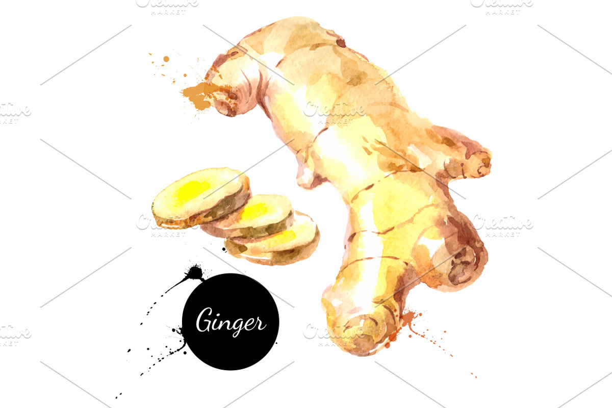 Watercolor Herb & Spices Vector Set, a Food Illustration by Elena Pimonova (Photo 2 of 5)