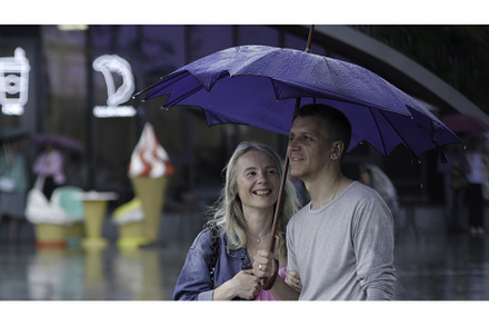 A Couple Sharing an Umbrella While, a Nature Photo by Media Whale Stock