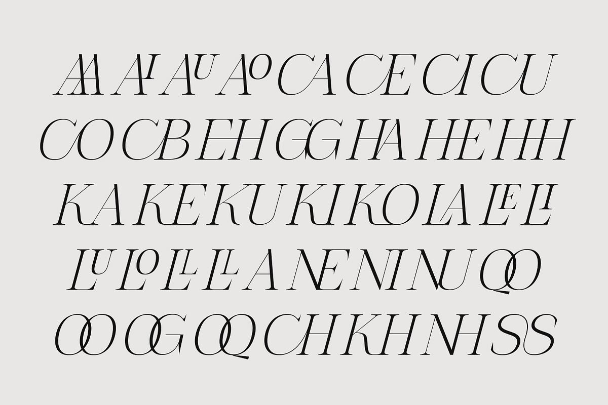 The Letter Editorial – Modern Serif, a Serif Font by Lettertype Studio (Photo 10 of 16)
