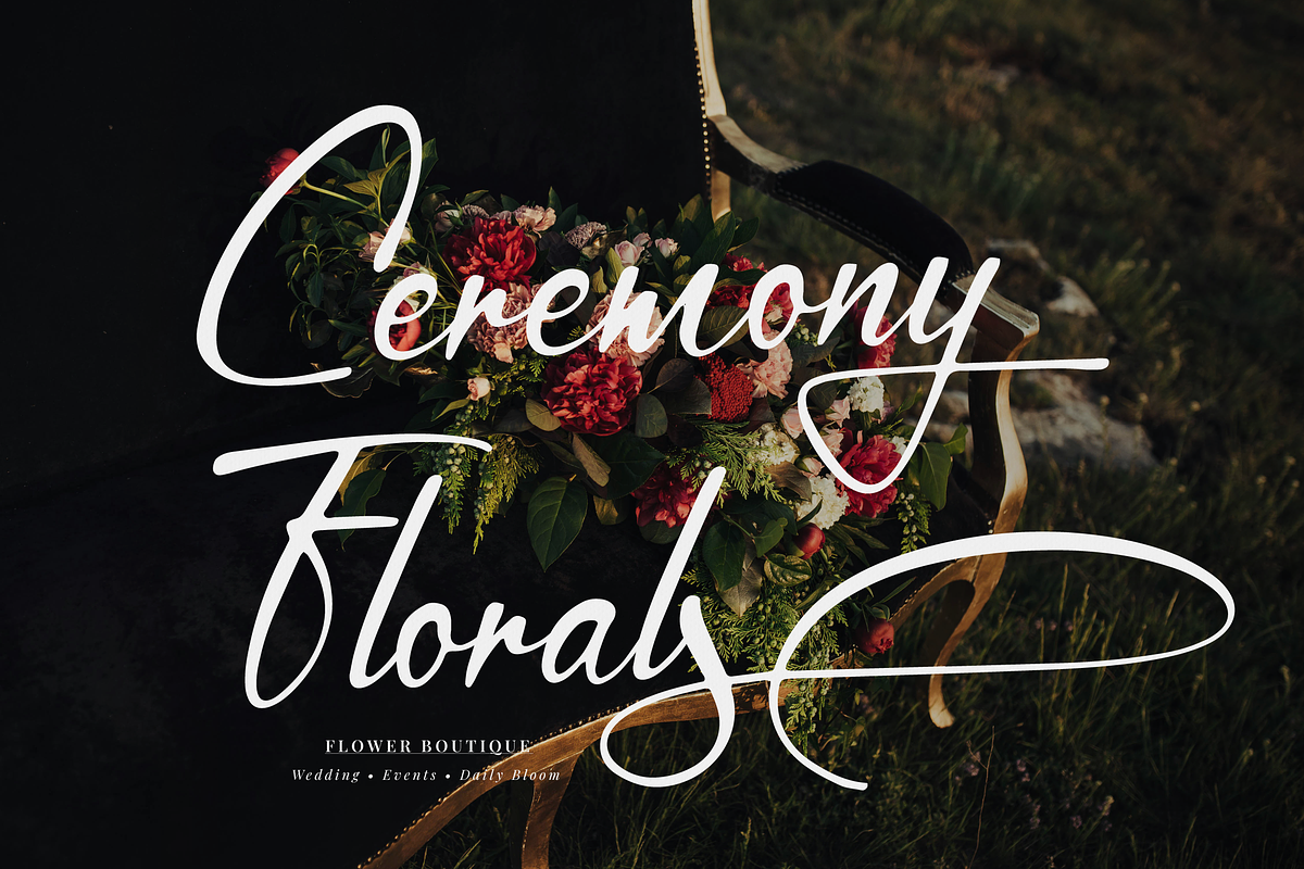 Simsalty Barthilon Elegant Signature, a Script Font by Denustudios (Photo 8 of 12)