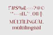 Bareya Modern Serif, a Serif Font by Muflieart (Thumbnail 9 of 9)