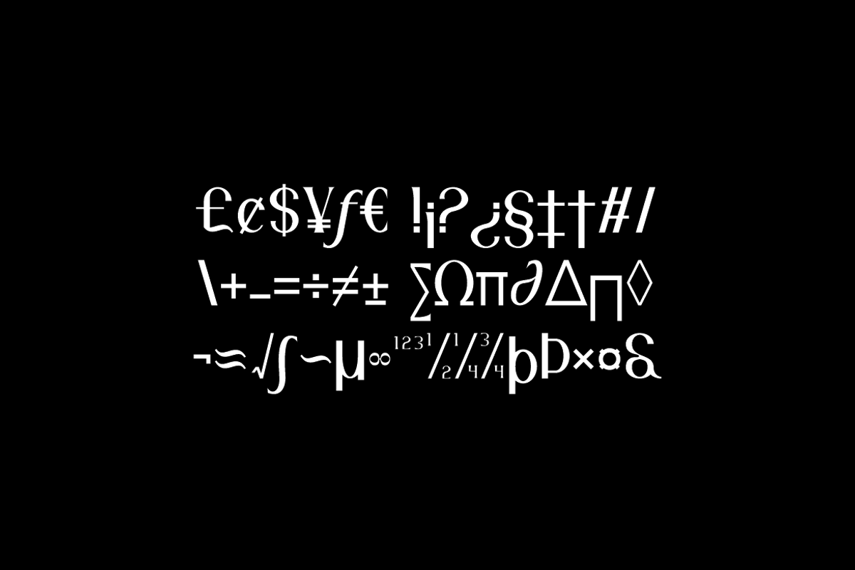 Ragkote - Modern Serif Font, a Serif Font by QR Design Studio (Photo 9 of 11)