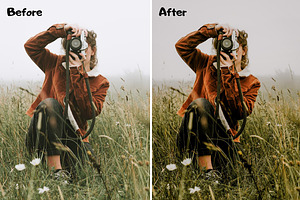 True Tone Lightroom Presets XMP/DNG