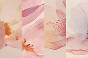 VEIL Flowers Collection, a Background Graphic by nkate (Thumbnail 9 of 13)