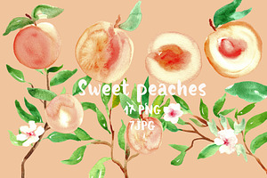 Peach. Watercolor Clip Art.