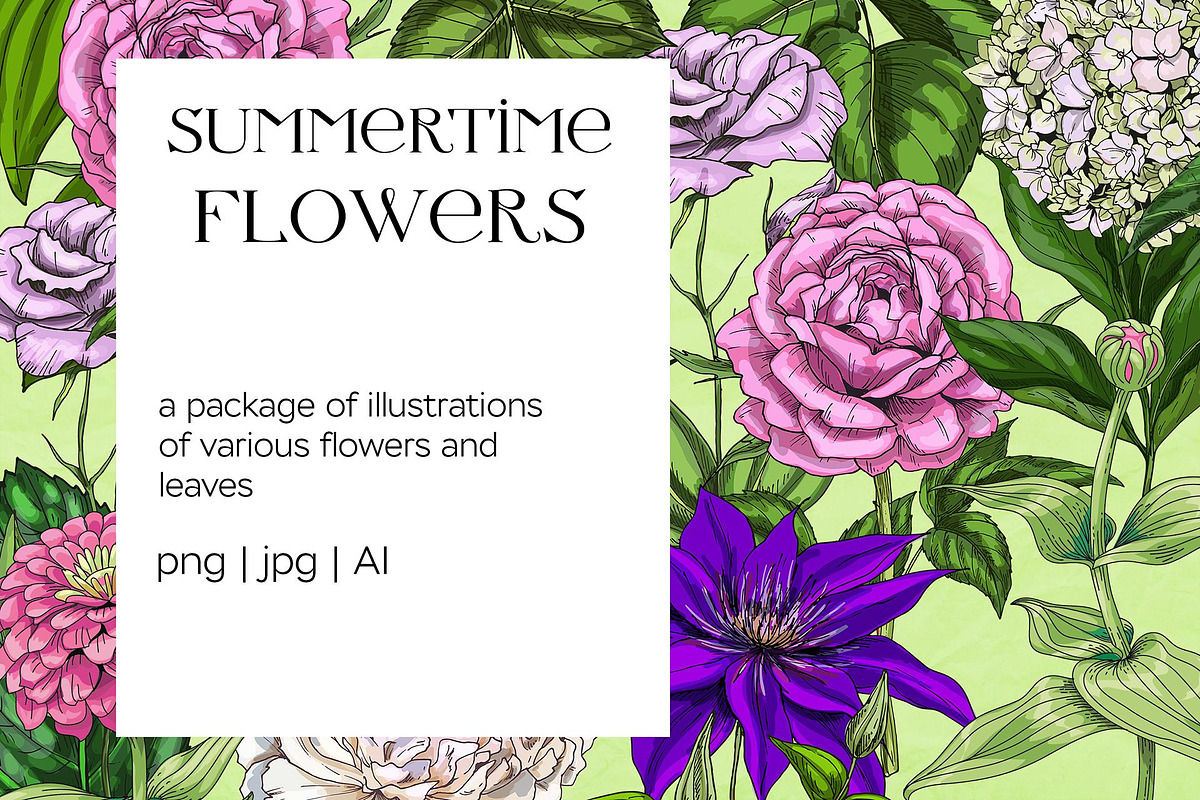 Botany and tenderness. Flowers set, an Object Illustration by Schumacher Shop (Photo 1 of 8)