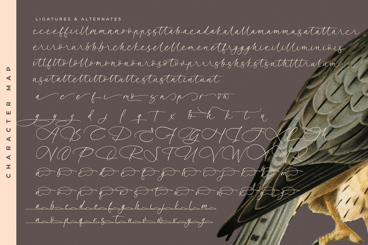 Garden Silent Elegant Script Font, a Script Font by stylishtype.co (Photo 19 of 20)