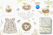 Little Birds clipart & pattern kids, a Decorative Illustration by polikarpovaart (Thumbnail 1 of 9)