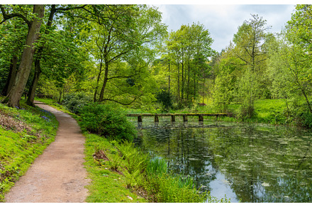 Stone slab bridge across calm river, a Nature Photo by Backyard Stock