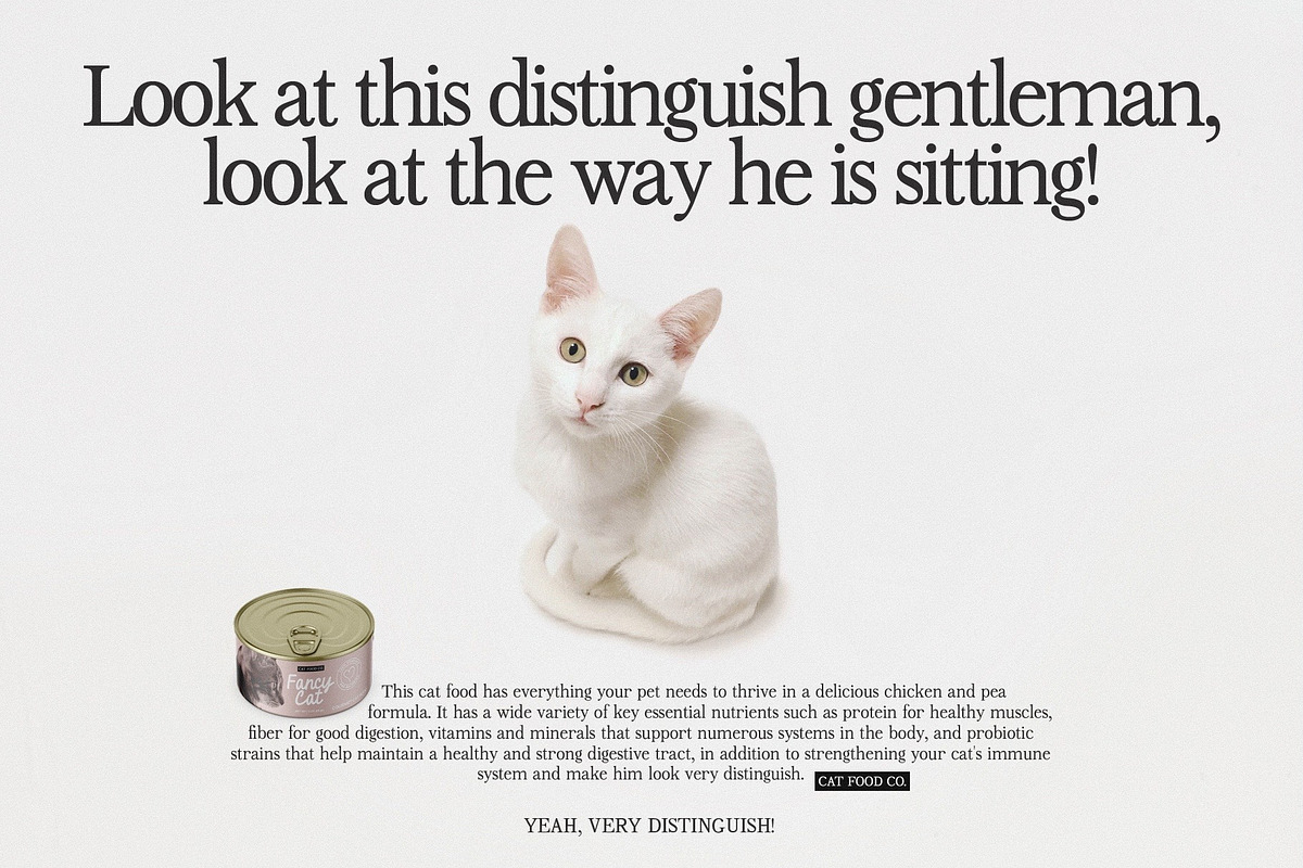 Beauty Outside Serif Font preview 5
