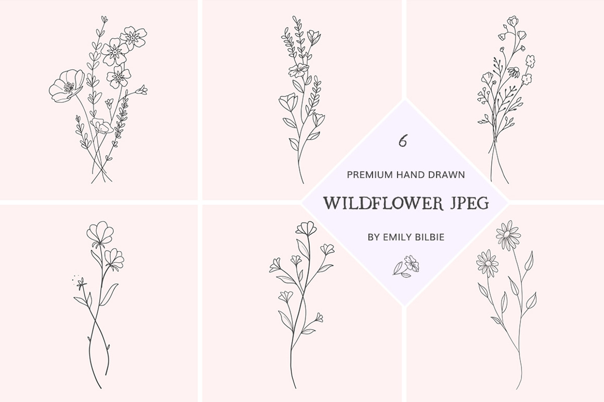 PNG + JPEG 6 Hand Drawn Wildflowers, an Illustration by Bilbie Artwork (Photo 1 of 7)