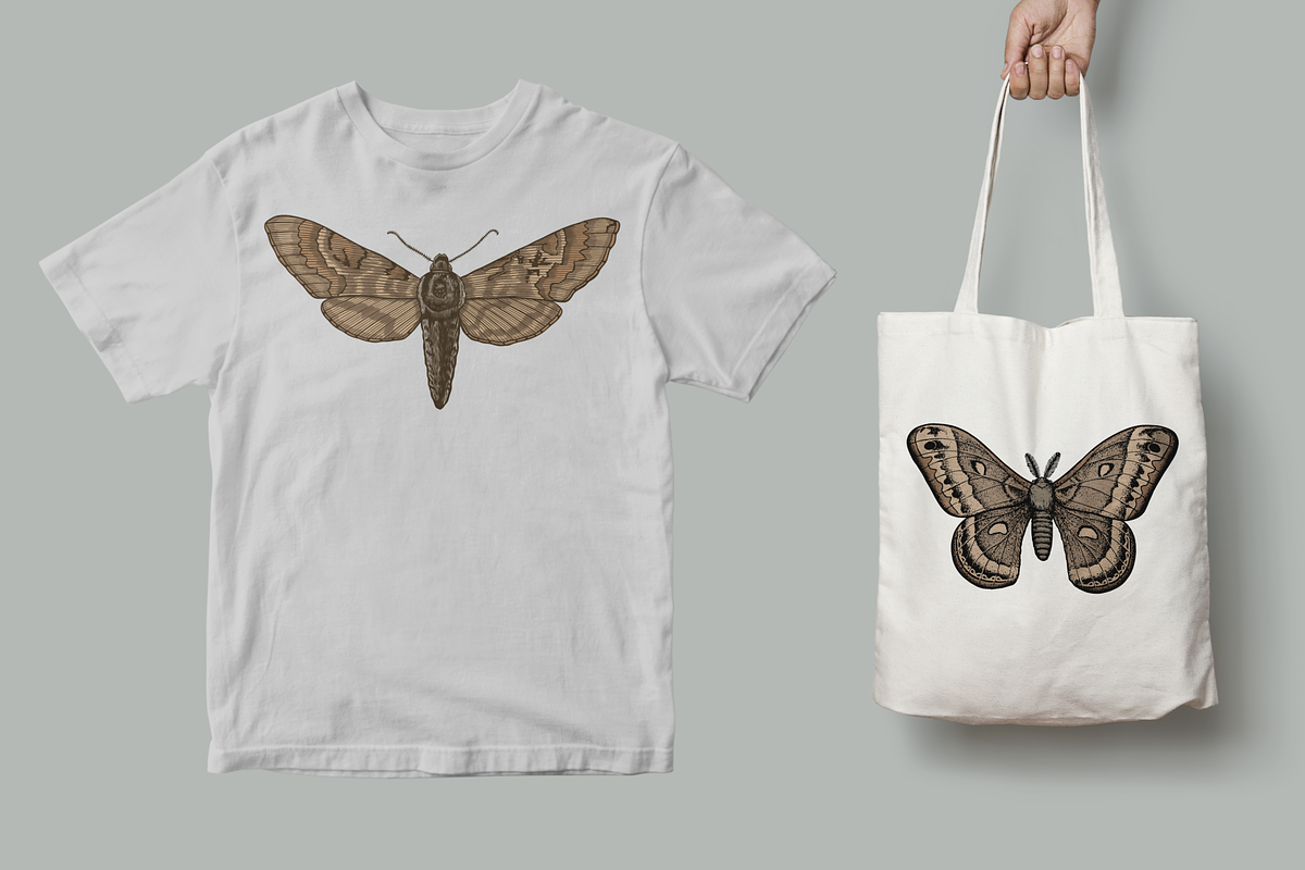 Moth Illustration Vector Set, an Illustration by Kusumaillustration (Photo 7 of 11)