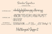 Slandia Signature / Handwriting Font, a Script Font by Mytype Studio (Thumbnail 9 of 11)
