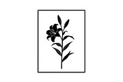 Black Lily Flower Vector Bundle, an Illustration by Designs_River (Thumbnail 18 of 51)
