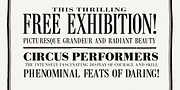 Bodoni Recut FS, a Serif Font by FontSite Inc. (Thumbnail 4 of 5)