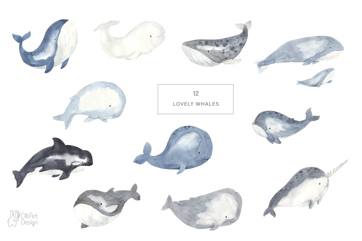 WHALES watercolor collection, an Animal Illustration by OlliArtDesign (Photo 3 of 9)