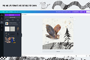 Magic owls: 280 elements for design, an Animal Illustration by Shusha Guna Art (Thumbnail 21 of 23)
